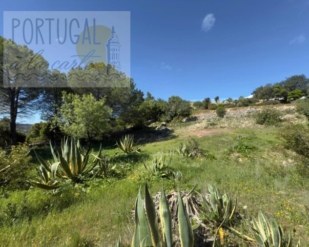 Terreno para Venda em Santa Barbara de Nexe Foto 11