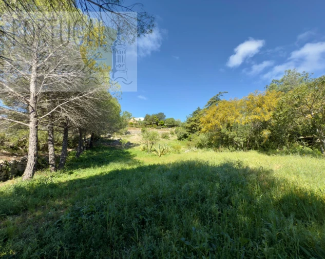 Terreno para Venda em Santa Barbara de Nexe Foto 9