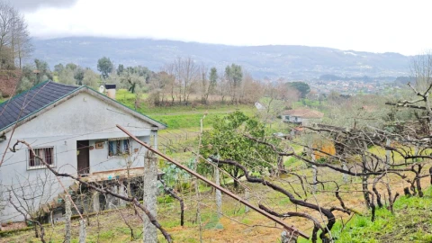 Moradia T3 para Venda em Beiral do Lima