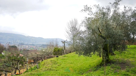 Moradia T3 para Venda em Beiral do Lima