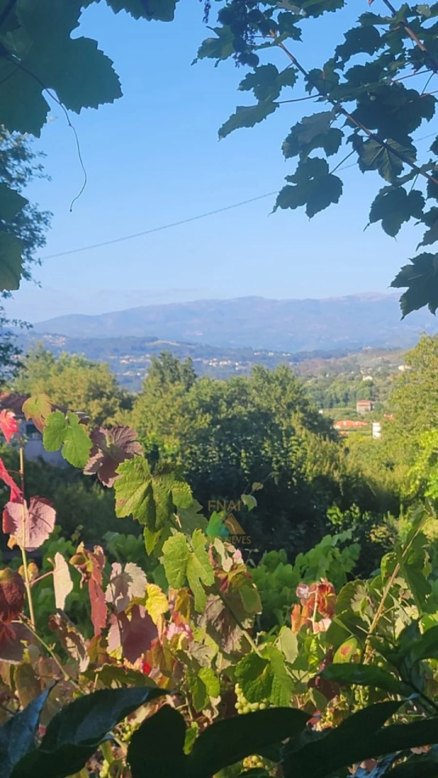 Moradia T3 para Venda em Beiral do Lima Foto 25