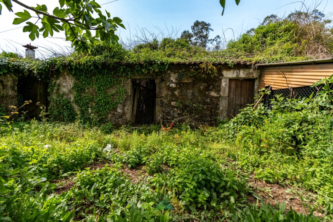 Moradia T4 para Venda em Ardegão, Freixo e Mato Foto 9