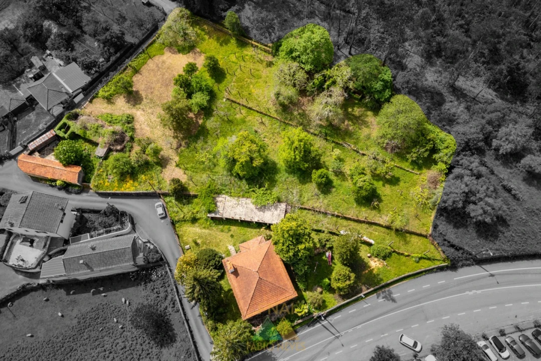 Moradia T4 para Venda em Ardegão, Freixo e Mato Foto 18