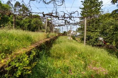 Moradia T4 para Venda em Ardegão, Freixo e Mato