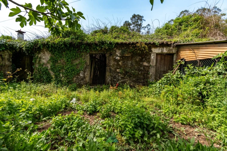 Moradia T4 para Venda em Ardegão, Freixo e Mato Foto 9