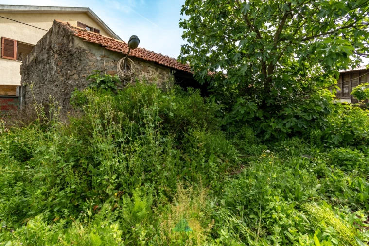 Moradia T4 para Venda em Ardegão, Freixo e Mato Foto 11