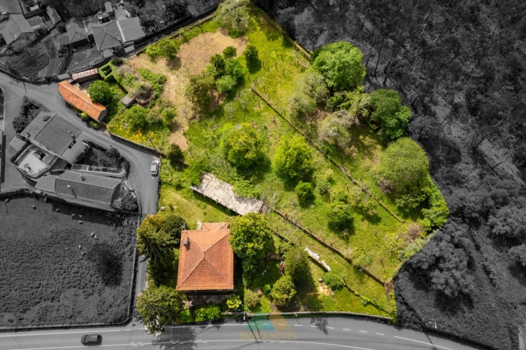Moradia T4 para Venda em Ardegão, Freixo e Mato Foto 28