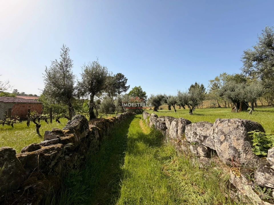 Quinta T0 para Venda em Paranhos Foto 8