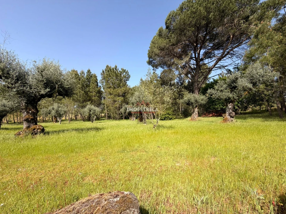 Quinta T0 para Venda em Paranhos Foto 2