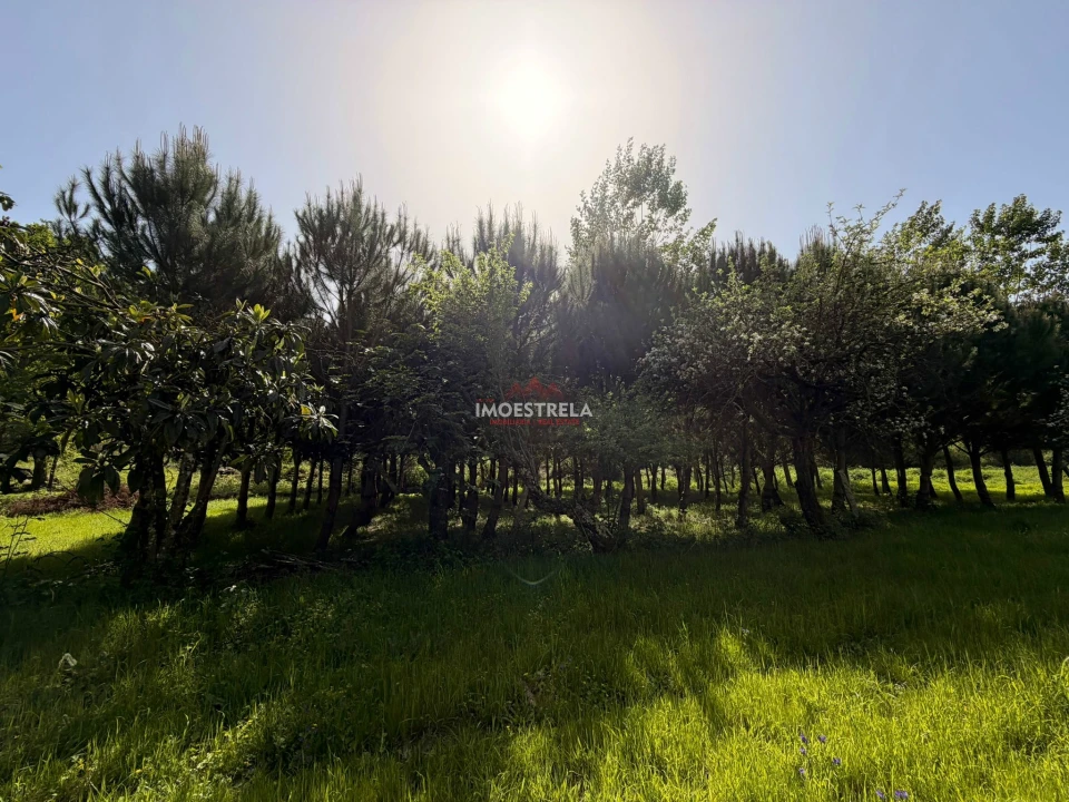 Quinta T0 para Venda em Paranhos Foto 3