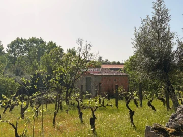 Quinta T0 para Venda em Paranhos