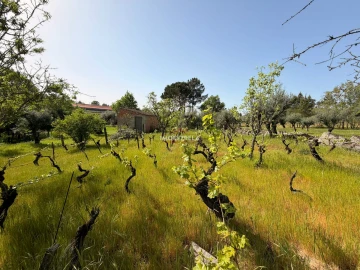 Quinta T0 para Venda em Paranhos