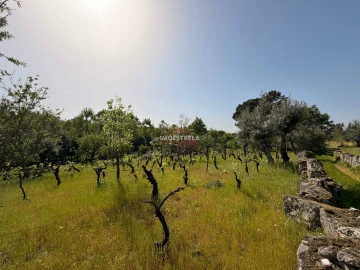Quinta T0 para Venda em Paranhos