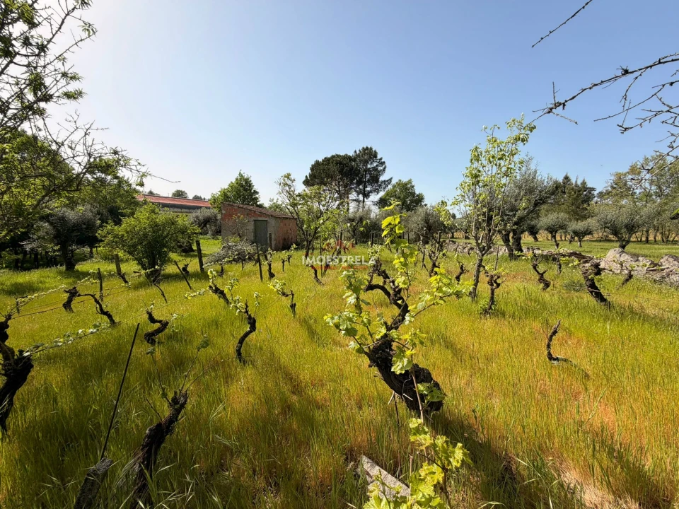 Quinta T0 para Venda em Paranhos Foto 9