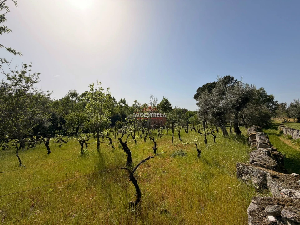 Quinta T0 para Venda em Paranhos Foto 6