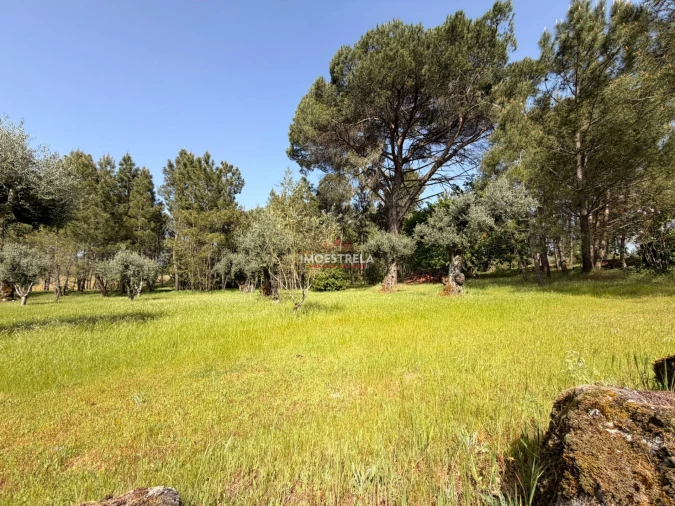 Quinta T0 para Venda em Paranhos Foto 7