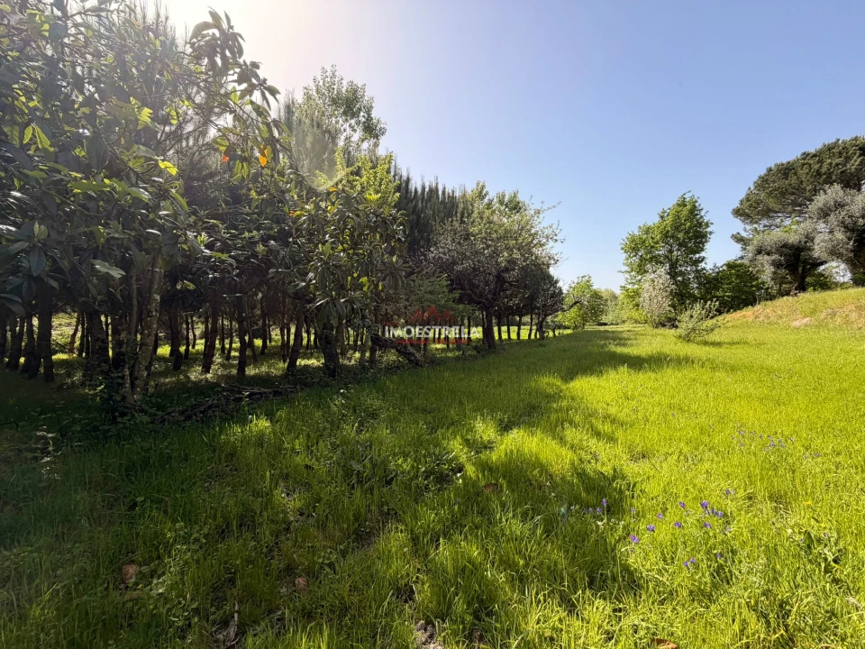 Quinta T0 para Venda em Paranhos Foto 1