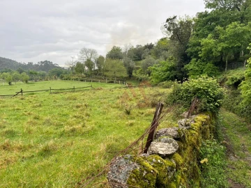 Terreno Agricola ou Rústico para Venda em Pinheiro