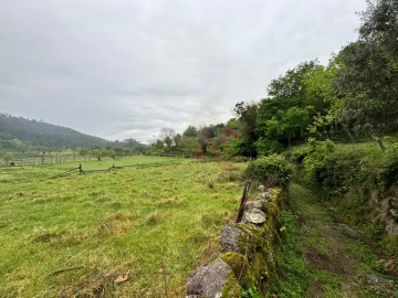 Terreno Agricola ou Rústico para Venda em Pinheiro