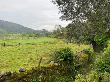 Terreno Agricola ou Rústico para Venda em Pinheiro