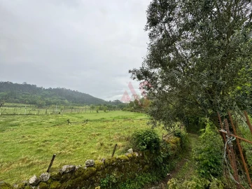 Terreno Agricola ou Rústico para Venda em Pinheiro