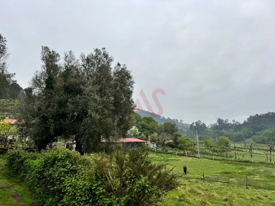 Terreno Agricola ou Rústico para Venda em Pinheiro Foto 5
