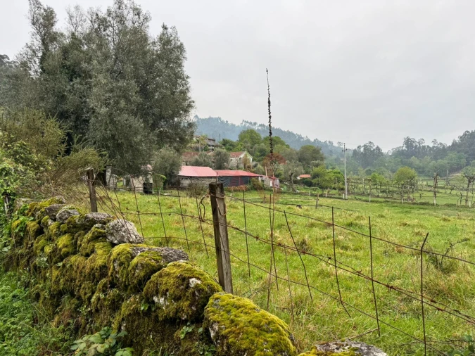 Terreno Agricola ou Rústico para Venda em Pinheiro Foto 7