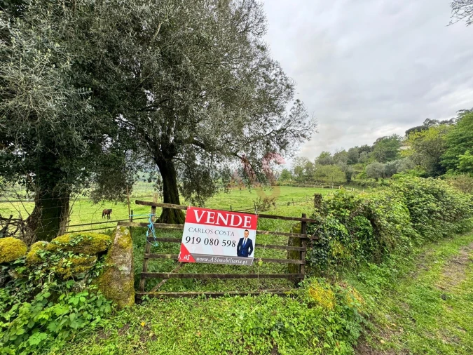 Terreno Agricola ou Rústico para Venda em Pinheiro Foto 10