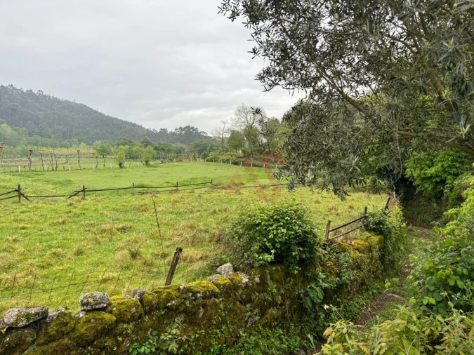 Terreno Agricola ou Rústico para Venda em Pinheiro Foto 4