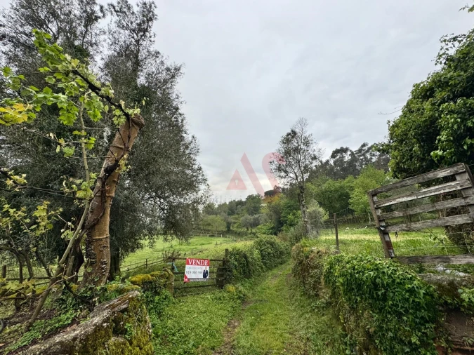 Terreno Agricola ou Rústico para Venda em Pinheiro