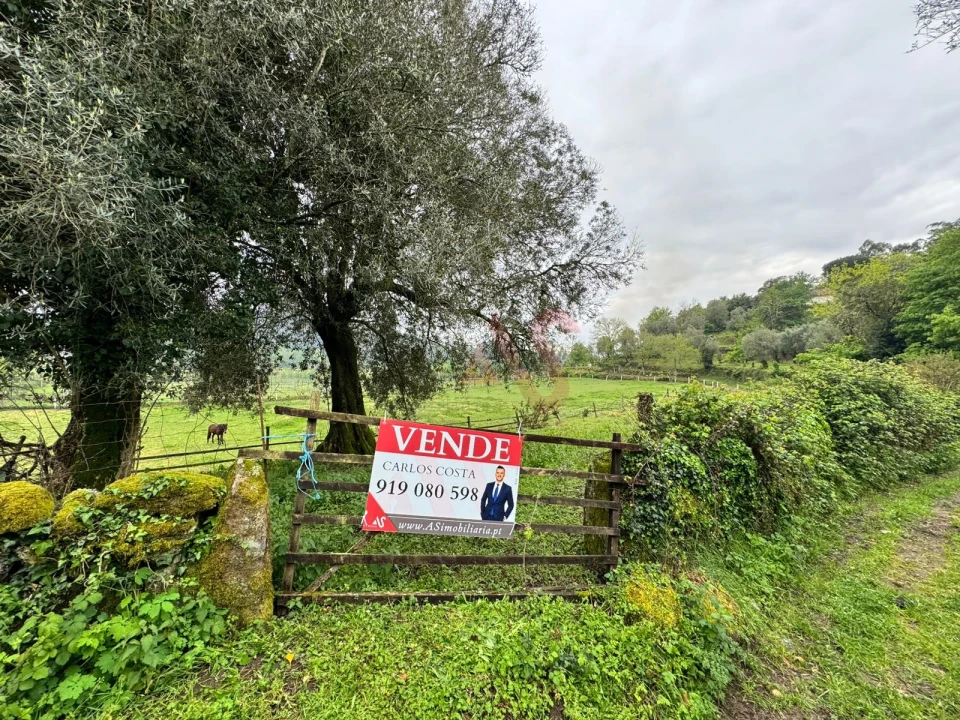 Terreno Agricola ou Rústico para Venda em Pinheiro Foto 10