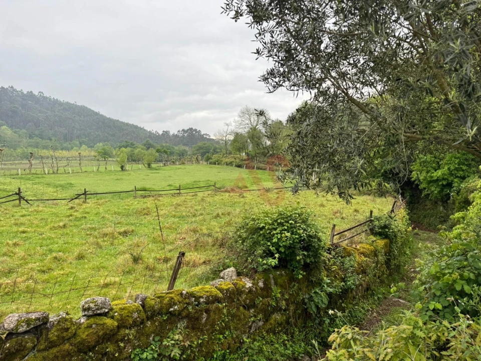 Terreno Agricola ou Rústico para Venda em Pinheiro Foto 4