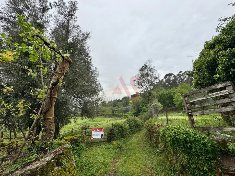 Terreno Agricola ou Rústico para Venda em Pinheiro Foto 1