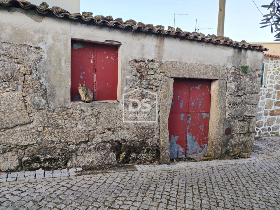Moradia T1 para Venda em Lajeosa do Mondego Foto 1