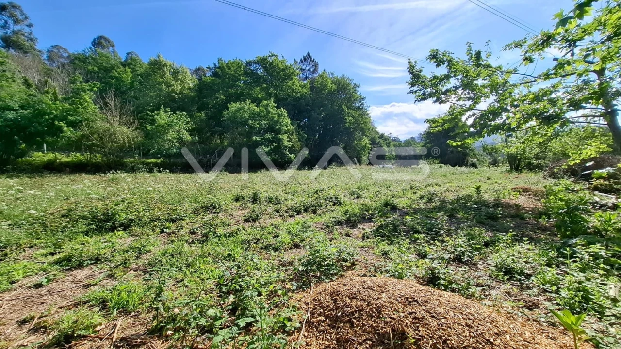 Terreno Agricola ou Rústico para Venda em Dornelas Foto 21