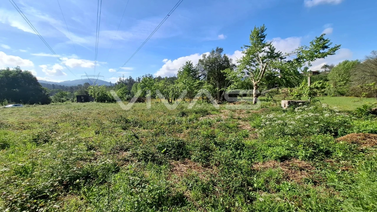 Terreno Agricola ou Rústico para Venda em Dornelas Foto 22
