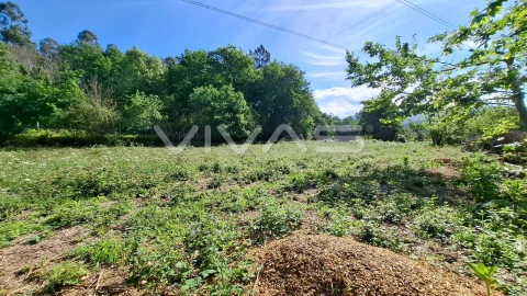 Terreno Agricola ou Rústico para Venda em Dornelas