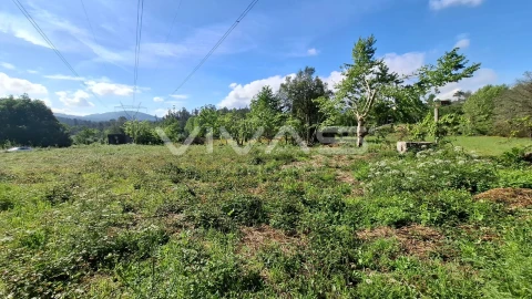 Terreno Agricola ou Rústico para Venda em Dornelas