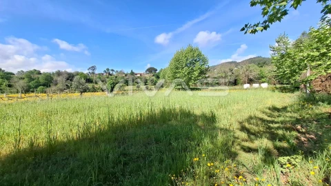 Terreno Agricola ou Rústico para Venda em Dornelas