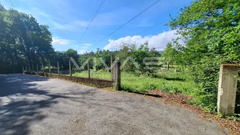 Terreno Agricola ou Rústico para Venda em Dornelas