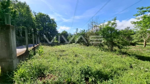 Terreno Agricola ou Rústico para Venda em Dornelas