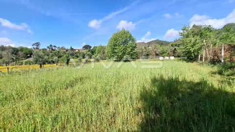 Terreno Agricola ou Rústico para Venda em Dornelas