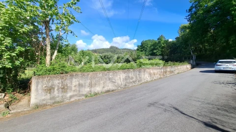 Terreno Agricola ou Rústico para Venda em Dornelas