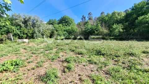 Terreno Agricola ou Rústico para Venda em Dornelas