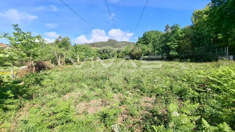 Terreno Agricola ou Rústico para Venda em Dornelas
