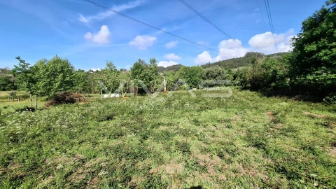 Terreno Agricola ou Rústico para Venda em Dornelas