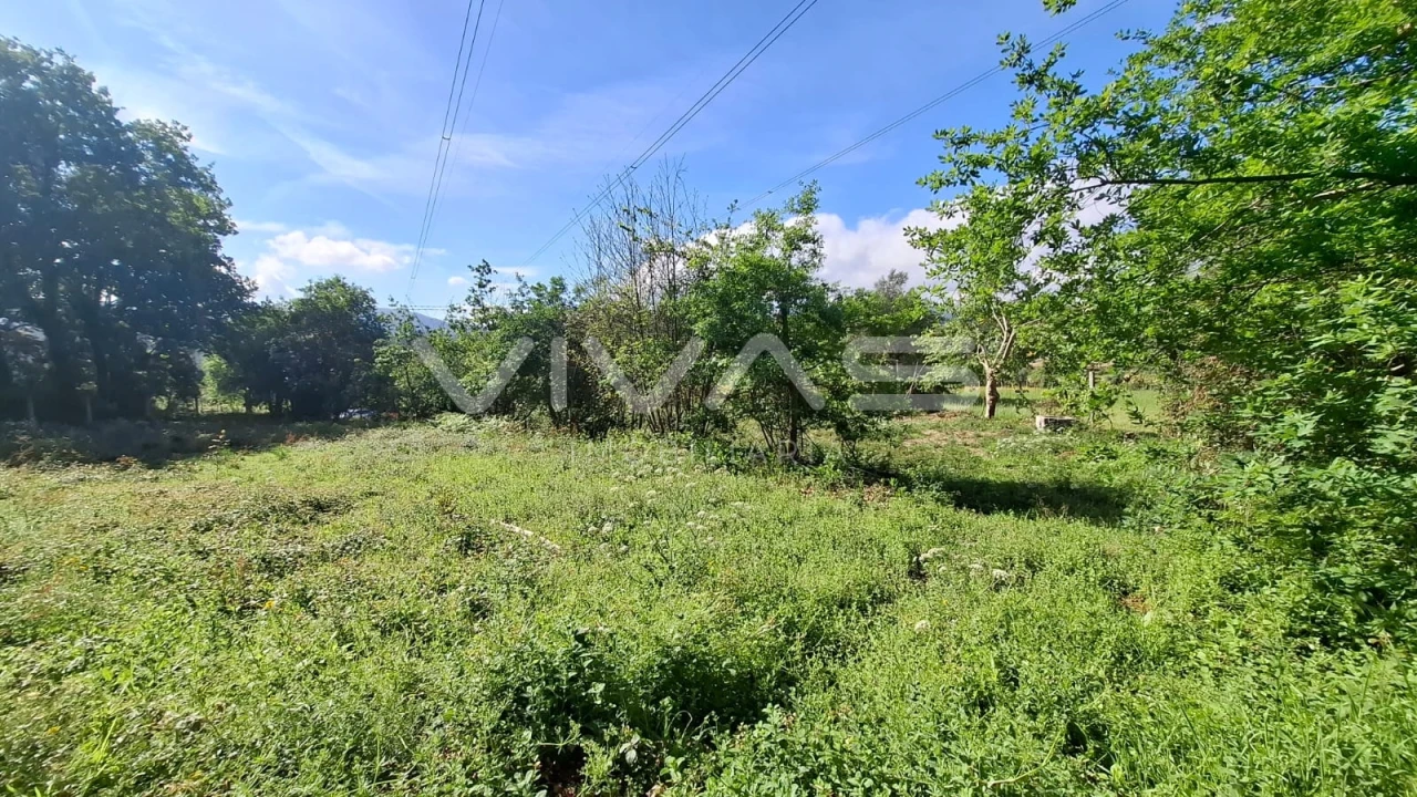 Terreno Agricola ou Rústico para Venda em Dornelas Foto 18