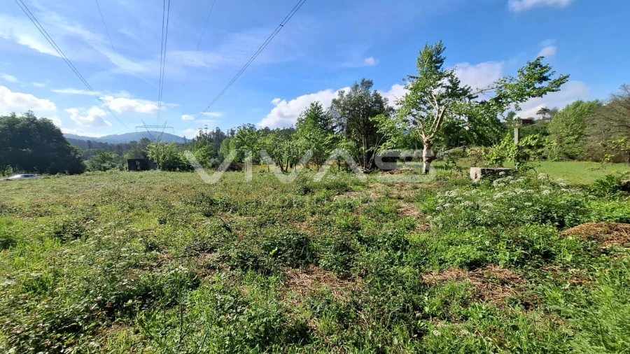 Terreno Agricola ou Rústico para Venda em Dornelas Foto 22