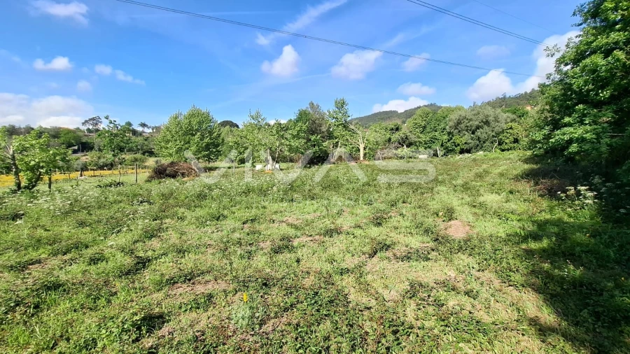 Terreno Agricola ou Rústico para Venda em Dornelas Foto 10