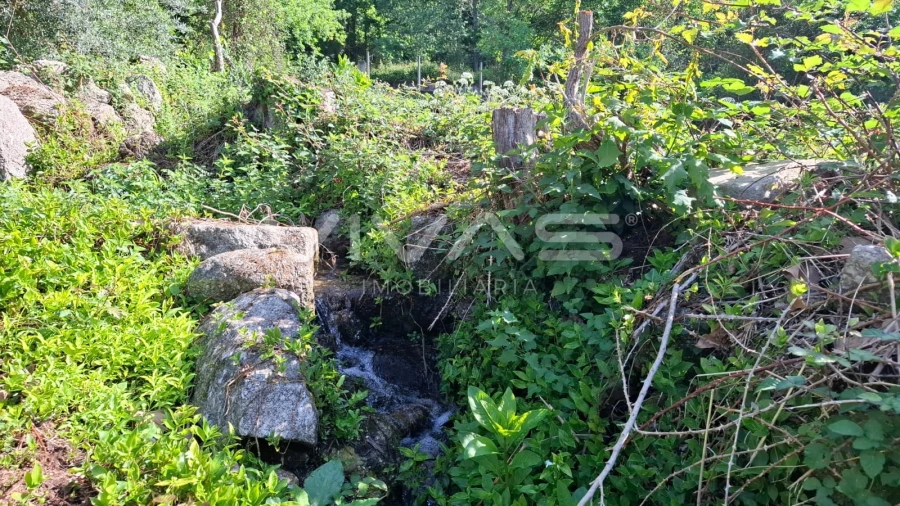 Terreno Agricola ou Rústico para Venda em Dornelas Foto 20